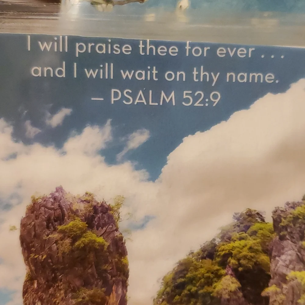 Handmade cover For A Classic Sized Disc Bound Planner Psalm 52:9 beach *defects*